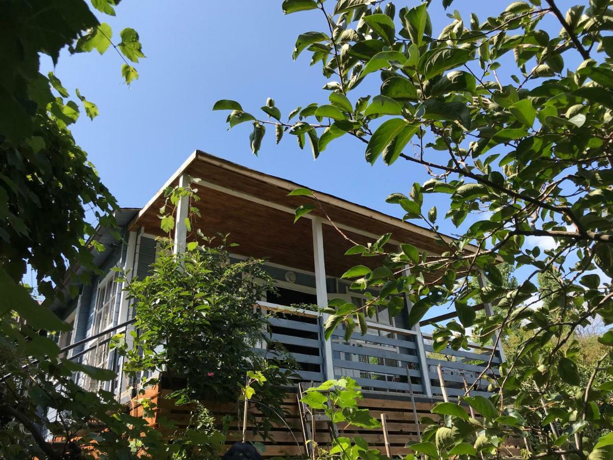 Eco Cottage Marina New Athos Екстериор снимка